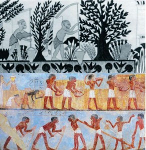 Земледелие на планете Земля