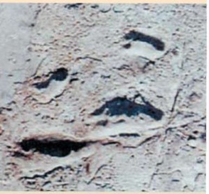 следы первобытных людей на планете Земля